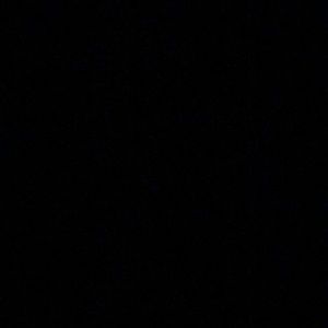 Meet your Posher, Dion